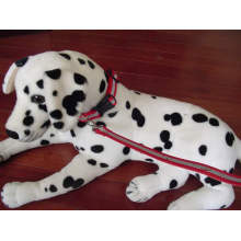 reflective products with pet accessories